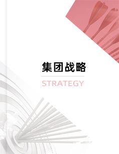 東方龍商務(wù)集團(tuán)戰(zhàn)略