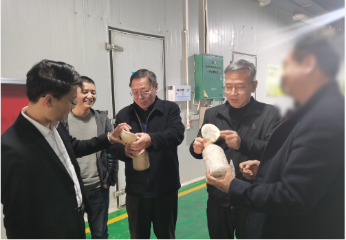 合作邁出堅(jiān)實(shí)一步！集團(tuán)推進(jìn)3家優(yōu)質(zhì)投資選址企業(yè)精準(zhǔn)對(duì)接地方政府