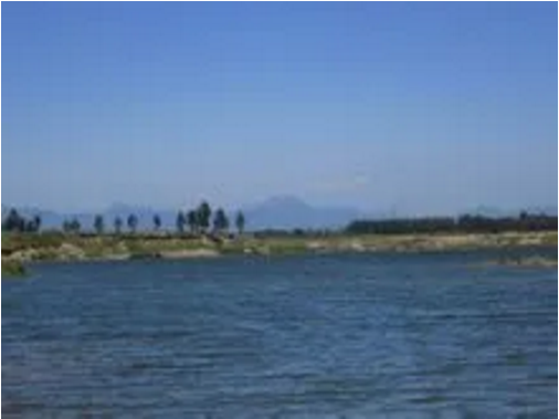 東方龍商務(wù)集團助力河北高邑縣委托招商引資，以“新經(jīng)濟”撬動“新引擎”
