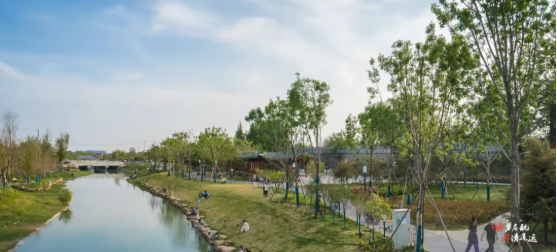 集團(tuán)全力助推河南開封順河回族區(qū)委托招商引資，突出特色優(yōu)勢，強(qiáng)化精準(zhǔn)賦能，提升經(jīng)濟(jì)活力