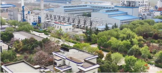 集團(tuán)全力助推河南開封順河回族區(qū)委托招商引資，突出特色優(yōu)勢，強(qiáng)化精準(zhǔn)賦能，提升經(jīng)濟(jì)活力