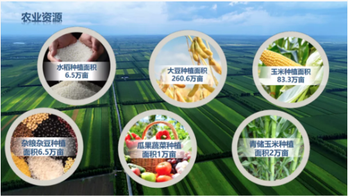 集團(tuán)全力助推黑龍江齊齊哈爾拜泉縣委托招商引資，立足資源優(yōu)勢(shì)，開辟產(chǎn)業(yè)集群高質(zhì)量發(fā)展新高地