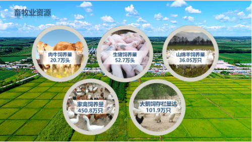 集團(tuán)全力助推黑龍江齊齊哈爾拜泉縣委托招商引資，立足資源優(yōu)勢(shì)，開辟產(chǎn)業(yè)集群高質(zhì)量發(fā)展新高地