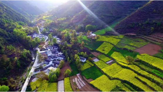 集團(tuán)全力助推甘肅隴南康縣委托招商引資，以綠色發(fā)展推動(dòng)鄉(xiāng)村振興