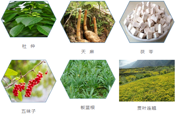 集團(tuán)全力助推甘肅隴南康縣委托招商引資，以綠色發(fā)展推動(dòng)鄉(xiāng)村振興
