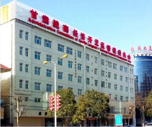 集團全力助推甘肅隴南成縣委托招商引資，充分挖掘資源潛力，增強經(jīng)濟發(fā)展動力