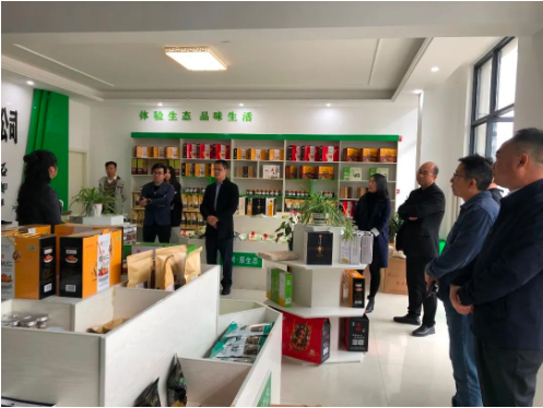集團全力助推甘肅隴南成縣委托招商引資，充分挖掘資源潛力，增強經(jīng)濟發(fā)展動力
