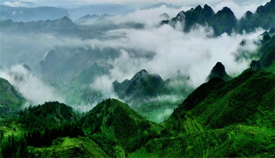 集團(tuán)全力助推甘肅隴南武都區(qū)委托招商引資，將地域資源優(yōu)勢轉(zhuǎn)化為經(jīng)濟(jì)發(fā)展新動能