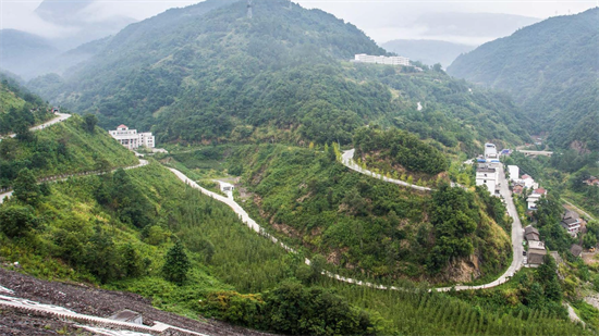 集團(tuán)全力助推甘肅隴南武都區(qū)委托招商引資，將地域資源優(yōu)勢轉(zhuǎn)化為經(jīng)濟(jì)發(fā)展新動能