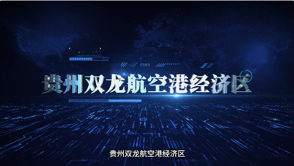 集團(tuán)全力助推貴州雙龍航空港經(jīng)濟(jì)區(qū)委托招商引資，搶占發(fā)展先機(jī)，打造開(kāi)放經(jīng)濟(jì)新高地