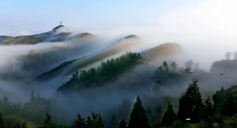 集團全力助推陜西榆林子洲縣委托招商引資，打造特色產業(yè)集聚地