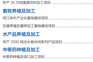 集團(tuán)全力助推黑龍江省同江市委托招商引資，充分挖掘開(kāi)發(fā)潛能，再次綻放邊陲魅力