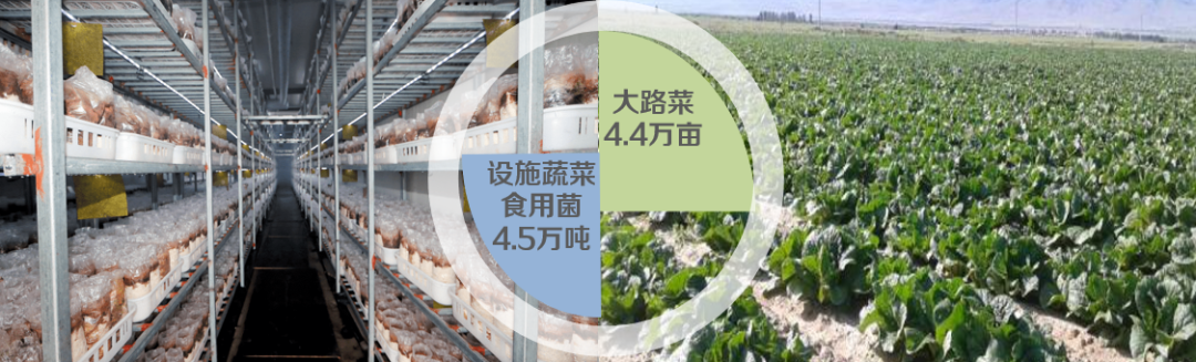 集團(tuán)全力助推陜西淳化縣委托招商引資，激發(fā)產(chǎn)業(yè)新活力，培育發(fā)展新動(dòng)能！