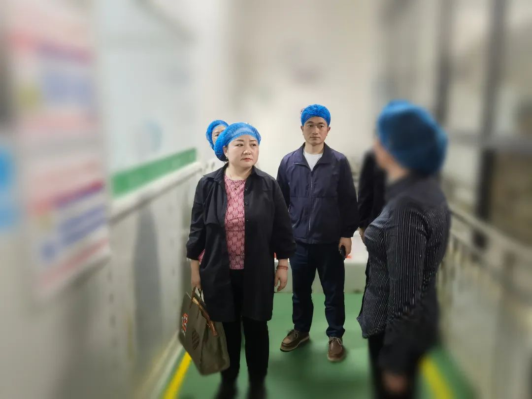 專精特新、高新技術(shù)企業(yè)！貴州某地方政府實地對接品牌農(nóng)副產(chǎn)品深加工投資選址項目